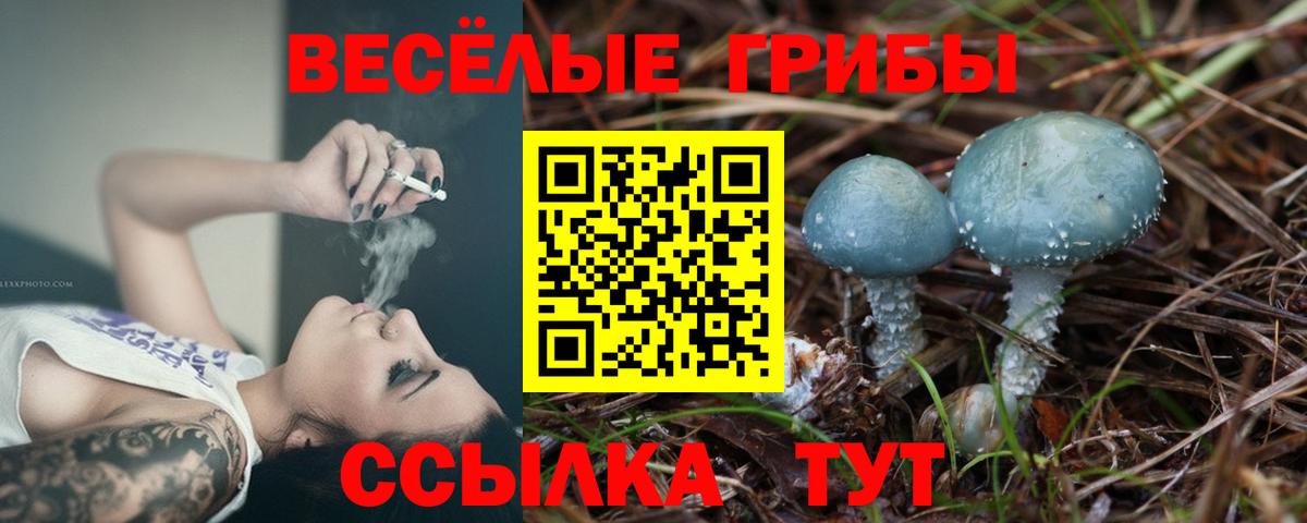 Карасук  Галлюциногенные грибы мицелий  Псилоцибиновые грибы MAGIC MUSHROOMS  Вход с VPN 